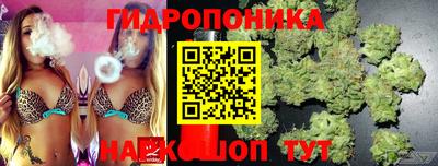 spice Северобайкальск