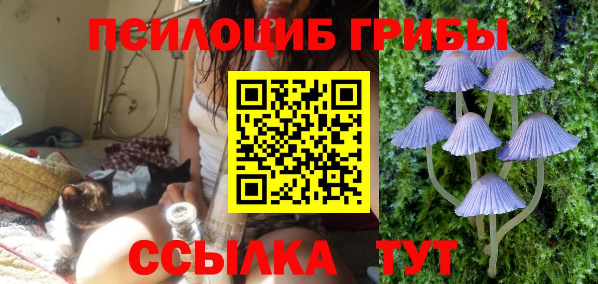 Псилоцибиновые грибы Magic Shrooms  Вход с VPN  Рассказово 