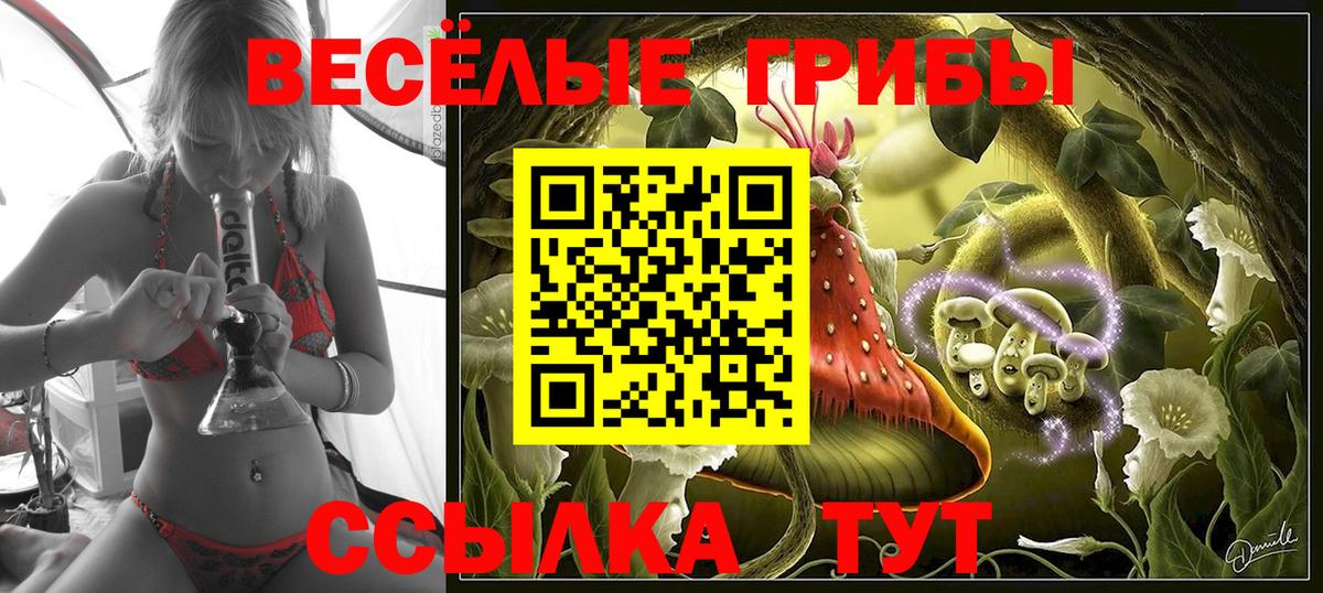 Псилоцибиновые грибы ЛСД Рассказово